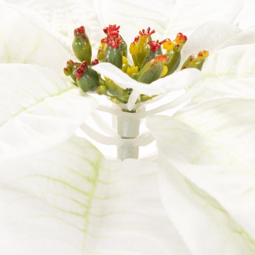 Poinsettia blanc artificiel, grande branche fleurie décorative, 65 cm, 2 pièces | Floristik24.be