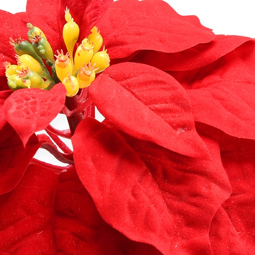 Article Poinsettia rouge 65cm