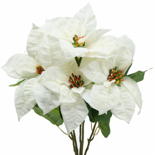 Poinsettia Bouquet Blanc 52cm