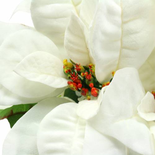 Article Poinsettia Bouquet Blanc 52cm