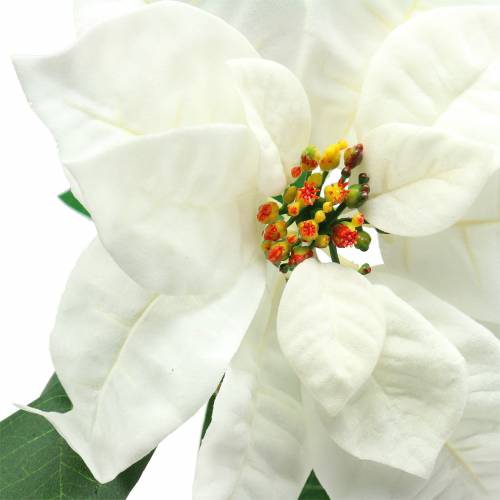 Floristik24 Poinsettia, fleur artificielle blanche 67cm