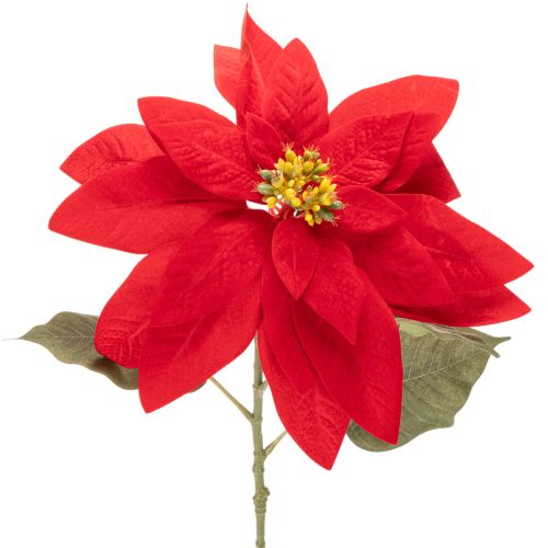 Poinsettia artificiel rouge à tige unique, décoration 82 cm acheter | Floristik24.be