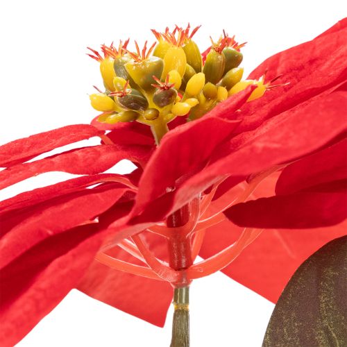 Poinsettia artificiel rouge à tige unique, décoration 82 cm | Floristik24.be