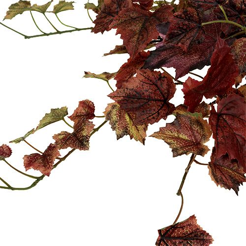 Floristik24 Cintre feuilles de vigne vert, bordeaux 67cm