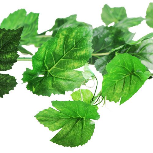 Floristik24 Feuillage de vigne vert guirlande 2,7m