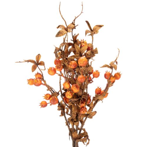 Branche d'aubépine artificielle, décoration d'automne, 75 cm | Floristik24.be