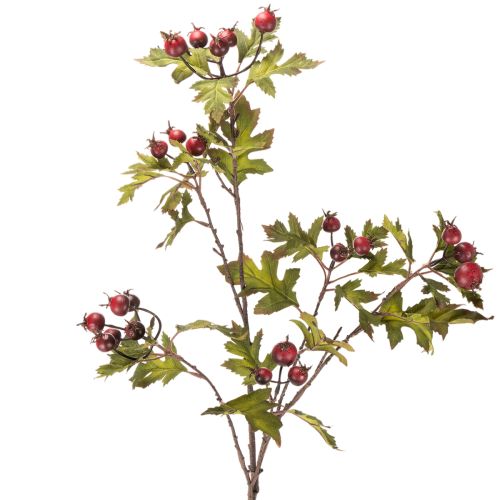 Branche d'aubépine artificielle avec baies rouges, décoration, 110 cm acheter | Floristik24.be