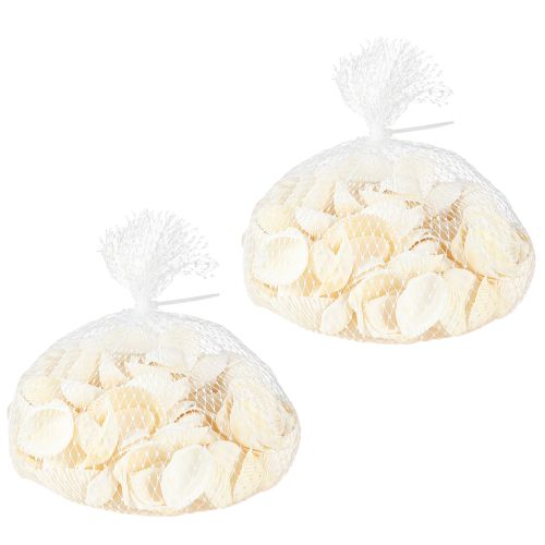 Floristik24 Coquillages blancs décoratifs 2-3,5 cm 300 g × 2 pièces