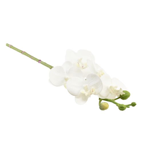 Article Orchidée artificielle blanche Phalaenopsis Real Touch 32cm