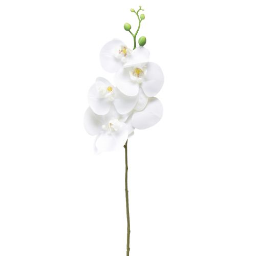 Orchidée artificielle blanche Phalaenopsis Real Touch 85cm