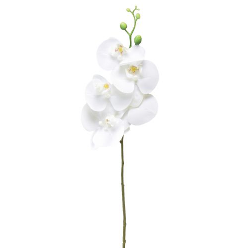 Article Orchidée artificielle blanche Phalaenopsis Real Touch 85cm