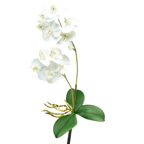 Orchidée blanche sur pic Phalaenopsis artificiel Real Touch 39cm