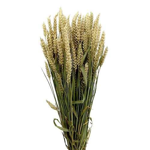 Article Bouquet de blé naturel déco blé 1 bouquet 150g