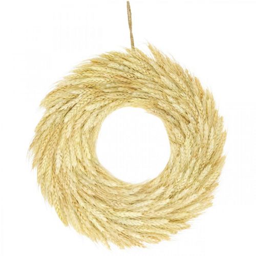 Couronne naturelle, couronne de blé, couronne de blé, couronne de grain 37cm