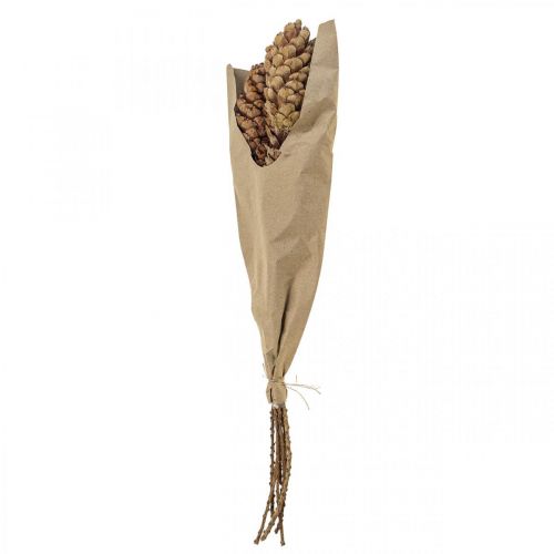 Floristik24 Pommes de pin blanc pommes de pin H70cm bouquet de 7 pcs