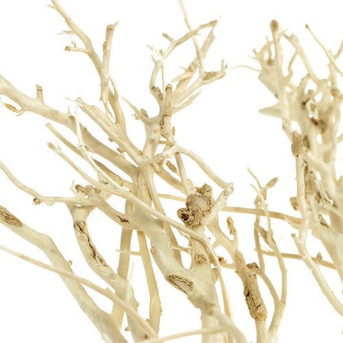 Article Buisson blanc blanchi 5pcs
