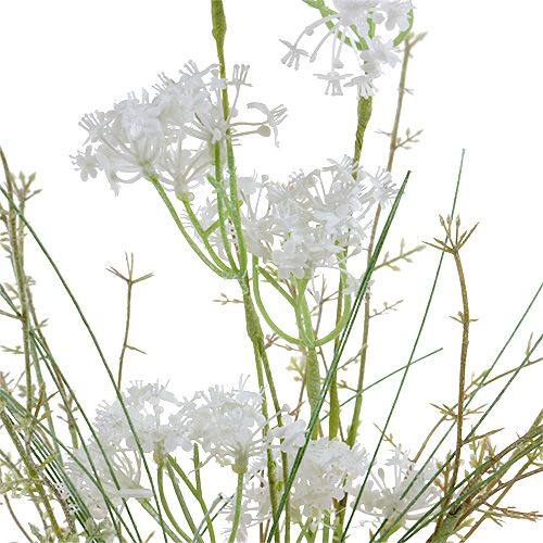 Floristik24 Fleurs du jardin blanches L. 50 cm 3 p.