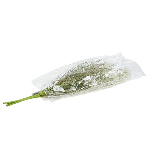 Floristik24 Fleurs du jardin blanches L. 50 cm 3 p.