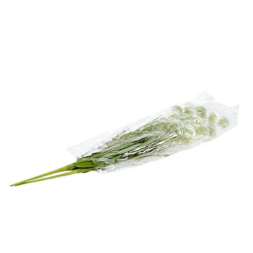Floristik24 Fleurs des prés blanches L60cm 3pcs