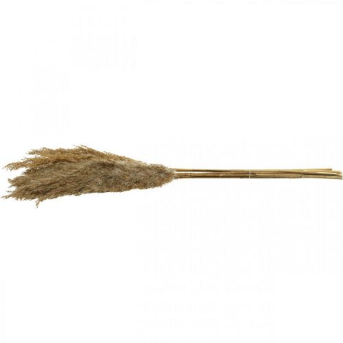 Article Carex d'herbe sèche décoration sèche naturelle 75cm 10 pcs