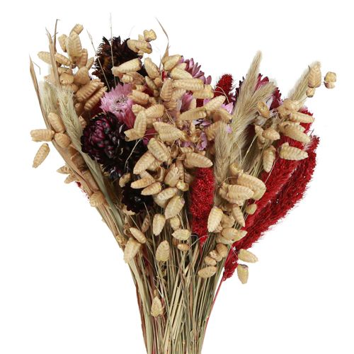 Floristik24 Bouquet de fleurs sauvages séchées rose naturel L30cm