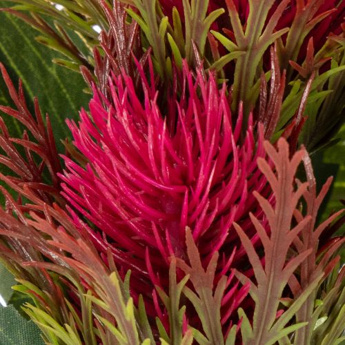 Branche de chardon rouge artificielle pour décoration, 67 cm, 3 pièces | Floristik24.be