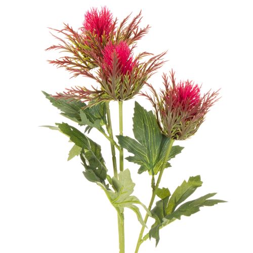 Branche de chardon rouge artificielle pour décoration, 67 cm, 3 pièces | Floristik24.be