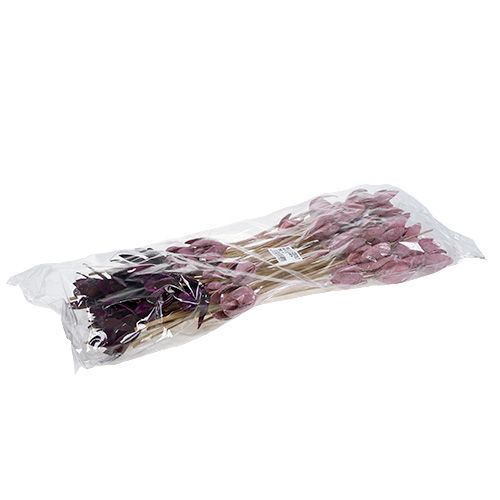 Floristik24 Lys sauvage à décorer sur tige mix rose, Erika 45 pcs