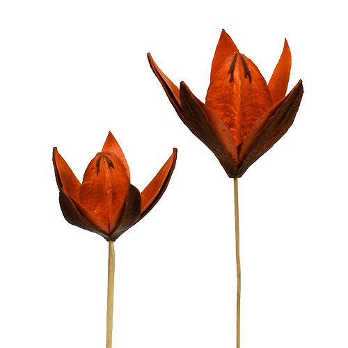 Lys sauvage sur tige orange 45 pcs