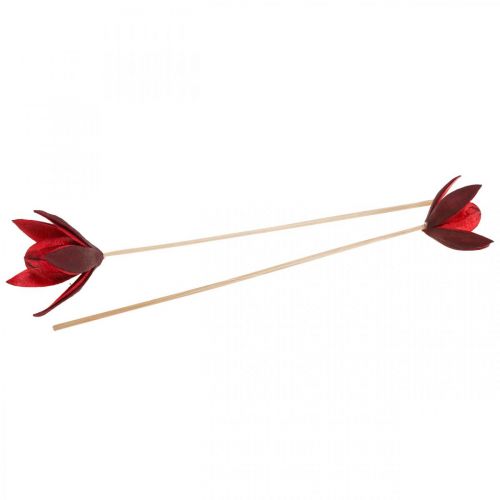 Floristik24 Lys sauvage sur tige rouge Ø6,5cm 35cm 45 pcs