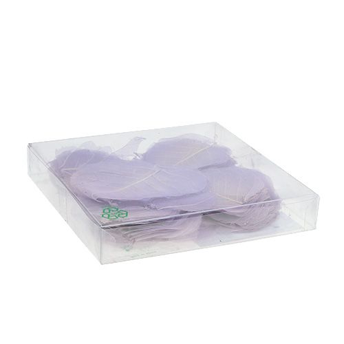 Floristik24 Feuilles de saule squelettées violet clair 200 pcs.