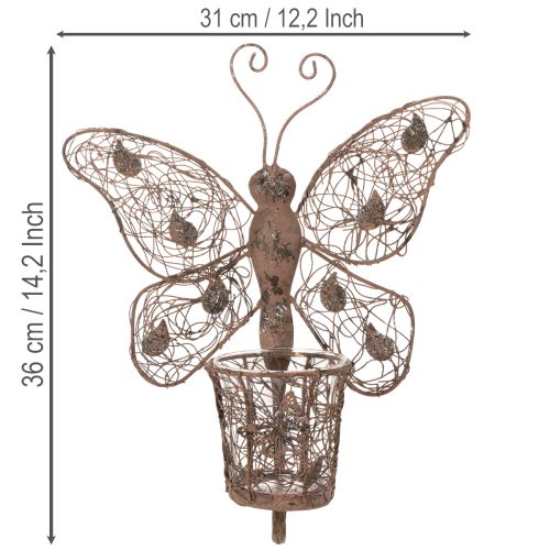 Lanterne en métal, décoration murale, papillon, finition rouille, 36,5 cm | Floristik24.be