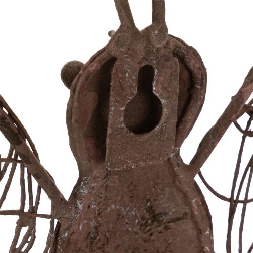 Lanterne en métal, décoration murale, papillon, finition rouille, 36,5 cm | Floristik24.be