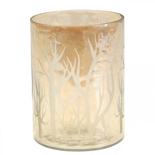 Floristik24 Lanterne Verre Arbres Marron Bougie Verre Ø12cm H15cm