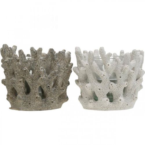 Floristik24 Lanterne avec verre en corail décoration maritime design blanc artificiel Ø9.5cm 2pcs