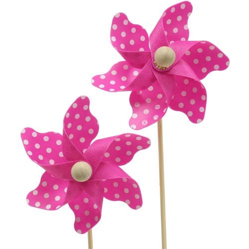 Floristik24 Moulin à vent déco à pois Rose Ø8cm 12pcs