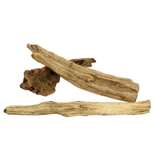 Floristik24 Morceaux de bois de racine naturel 500g