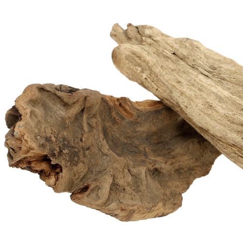 Floristik24 Morceaux de bois de racine naturel 500g
