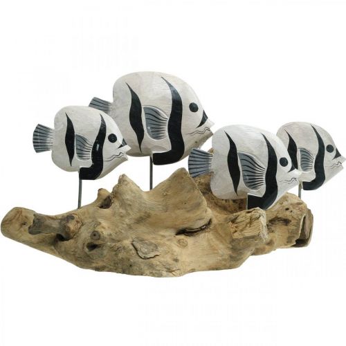Floristik24 Présentoir décoratif en bois de racine de poisson sur pied Décoration maritime 38cm