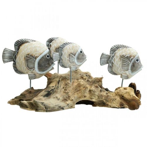 Floristik24 Poisson déco sur bois de racine Figurines déco maritime marron 38cm