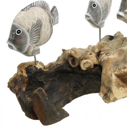 Article Poisson déco sur bois de racine Figurines déco maritime marron 38cm