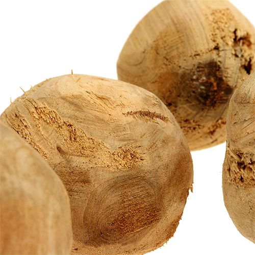 Floristik24 Motte de racines en bois de sapin Ø7cm naturel 5 pcs