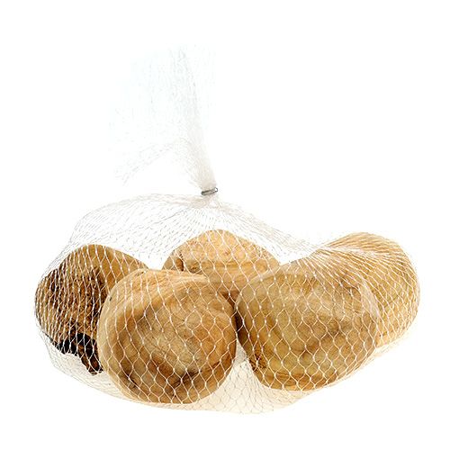 Floristik24 Motte de racines en bois de sapin Ø7cm naturel 5 pcs