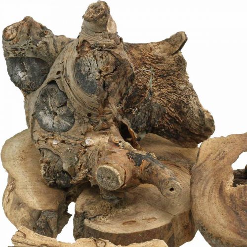 Floristik24 Racine bois déco bois morceaux de bois décor épars 3-10cm 500g