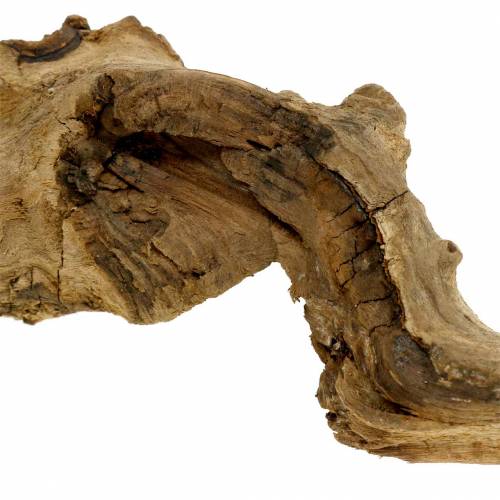Floristik24 Racine décorative naturelle 1kg