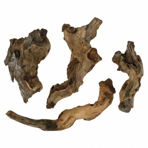 Floristik24 Racine décorative naturelle 1kg