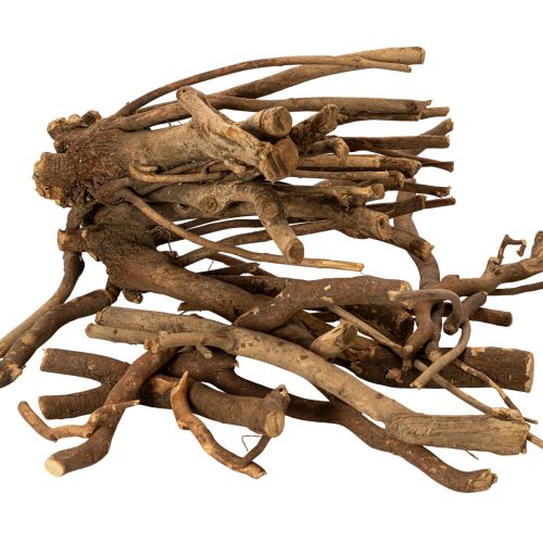 Branches et rhizomes décoratifs en bois, séchés naturellement, 18 cm, 500 g