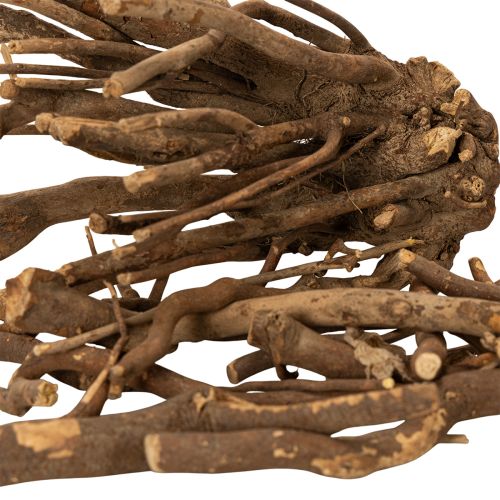 Branches et rhizomes décoratifs en bois, séchés naturellement, 18 cm, 500 g | Floristik24.be
