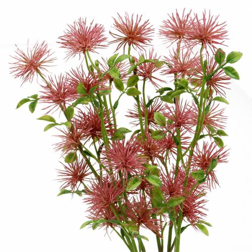 Floristik24 Xanthium fleur en soie vieux rose 53cm 6pcs