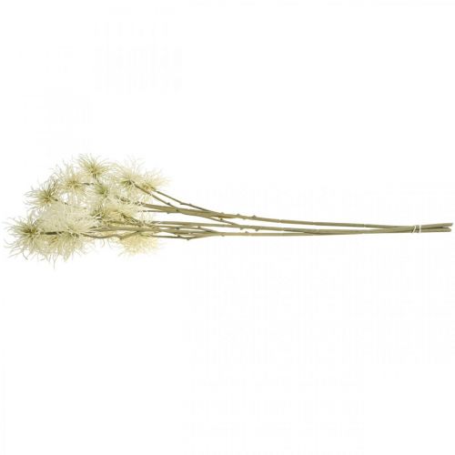Article Xanthium fleur artificielle crème décoration d'automne 6 fleurs 80cm 3pcs